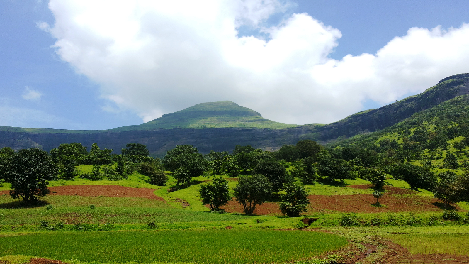 Hotels in Trimbakeshwar Room